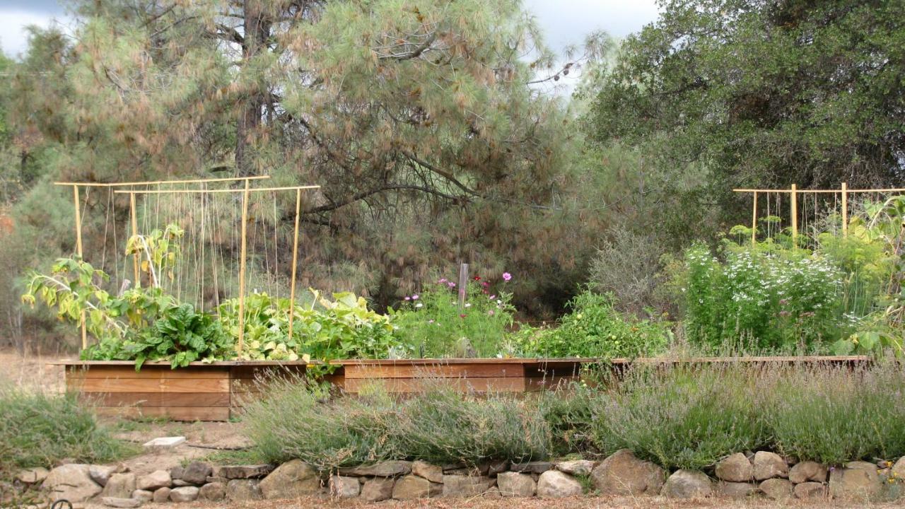 Yosemite Rose Bed And Breakfast Гровленд Экстерьер фото